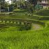 Pemandangan luar