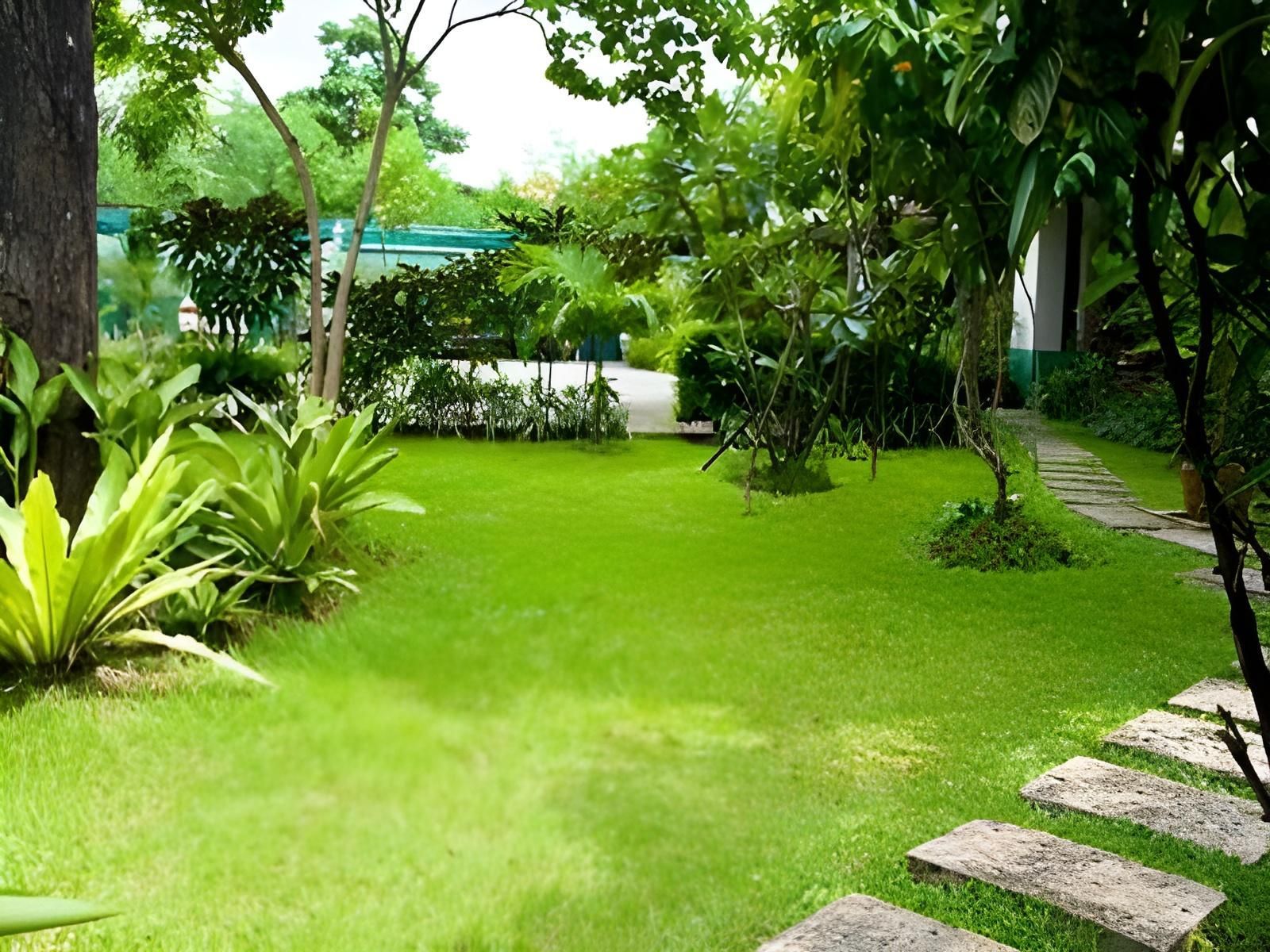 Pemandangan luar