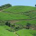 Pemandangan luar