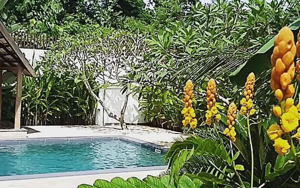 Kolam renang Gambar