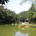 Pemandangan luar