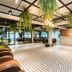 Lobi