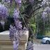 Pemandangan luar