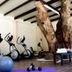 Gim