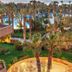 Lain-lain