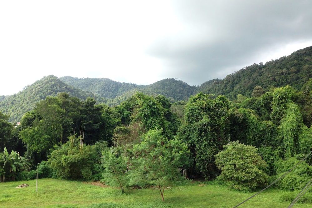 Pemandangan luar