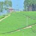 Pemandangan luar
