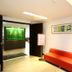 Lobi