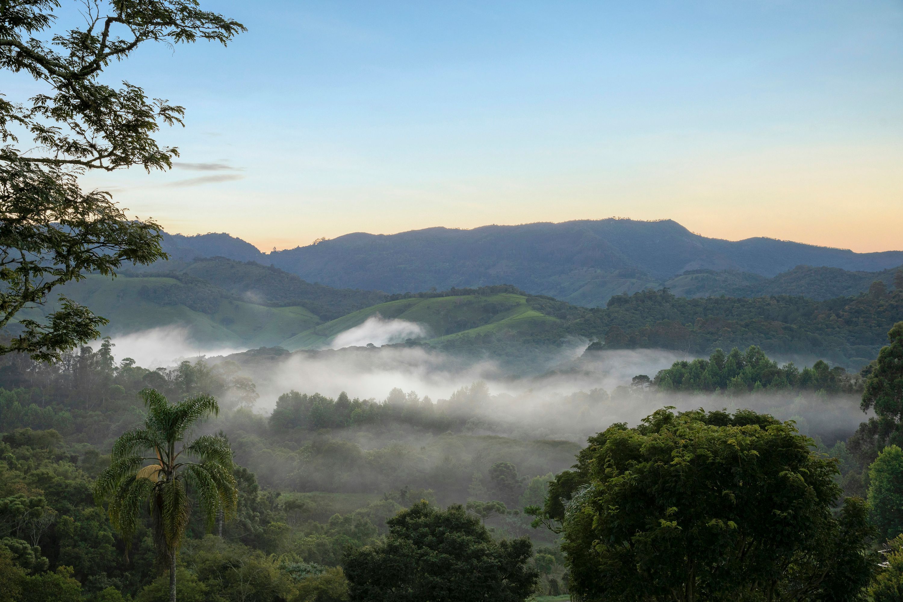 Pemandangan luar