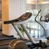 Gim