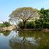 Pemandangan luar
