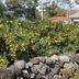 Pemandangan luar