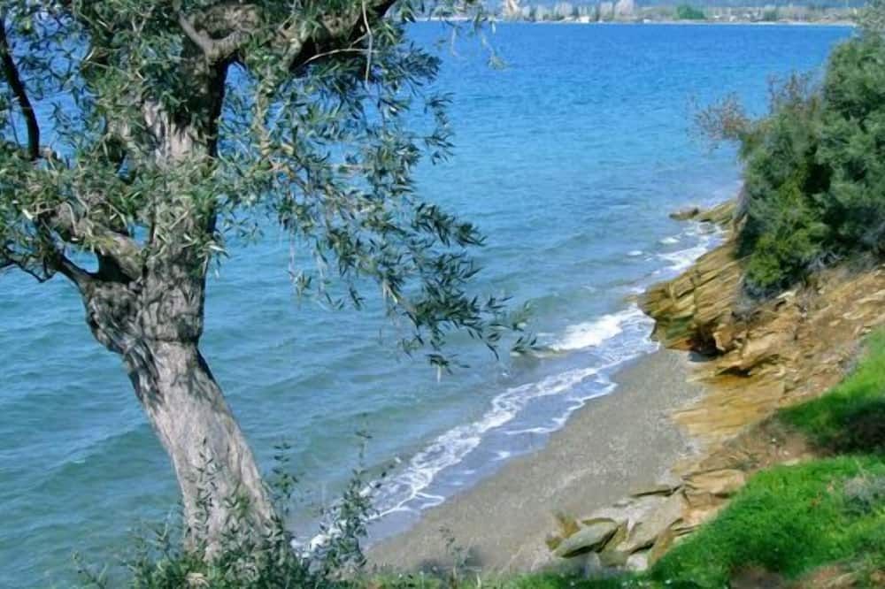 Pemandangan luar