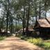 Pemandangan luar