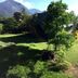 Pemandangan luar