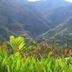 Pemandangan luar