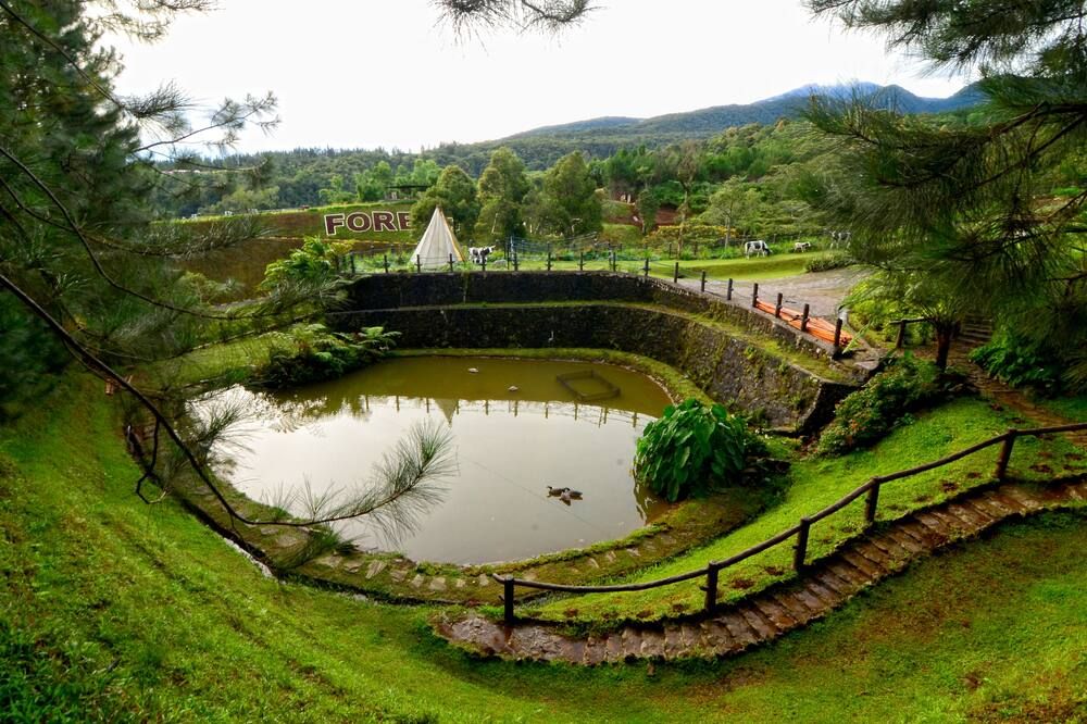 Pemandangan luar