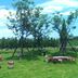 Pemandangan luar
