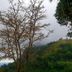 Pemandangan luar