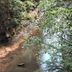 Pemandangan luar