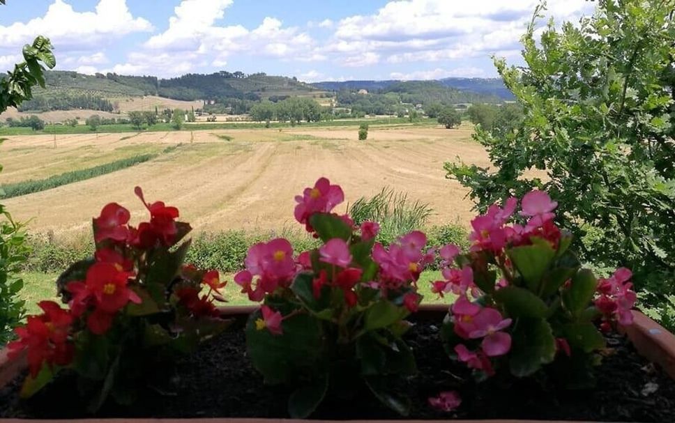 Pemandangan luar Gambar