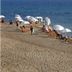 Pantai
