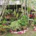 Pemandangan luar
