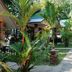 Pemandangan luar