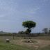 Pemandangan luar