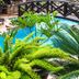 Kolam renang