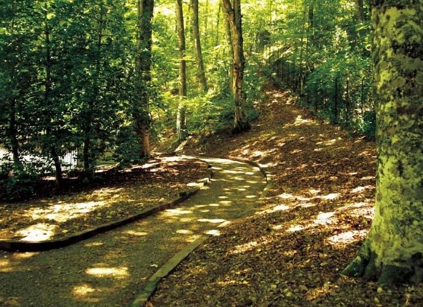 Pemandangan luar Gambar