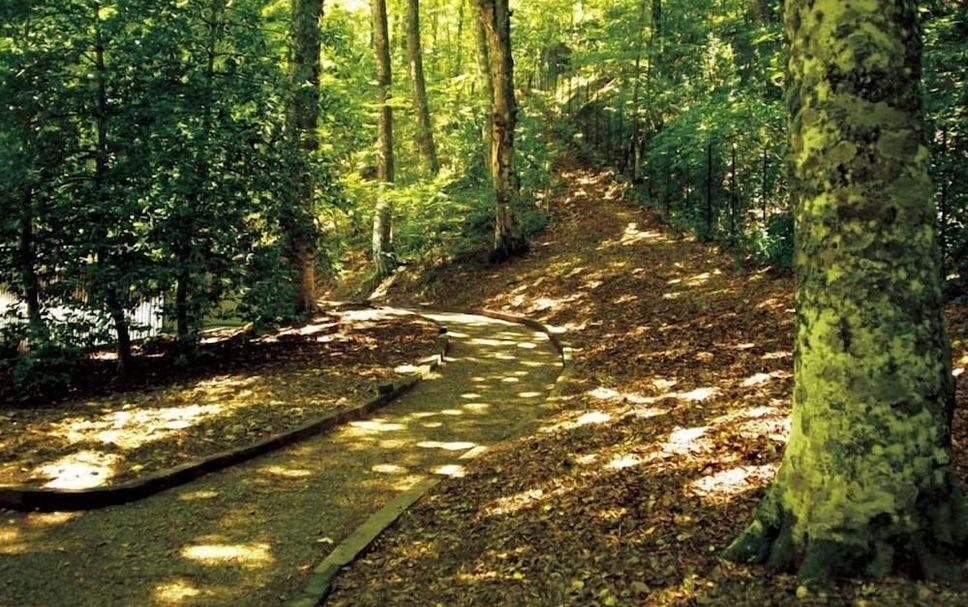 Pemandangan luar Gambar