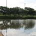 Pemandangan luar