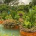 Pemandangan luar
