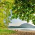 Pantai