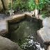 Pemandangan luar
