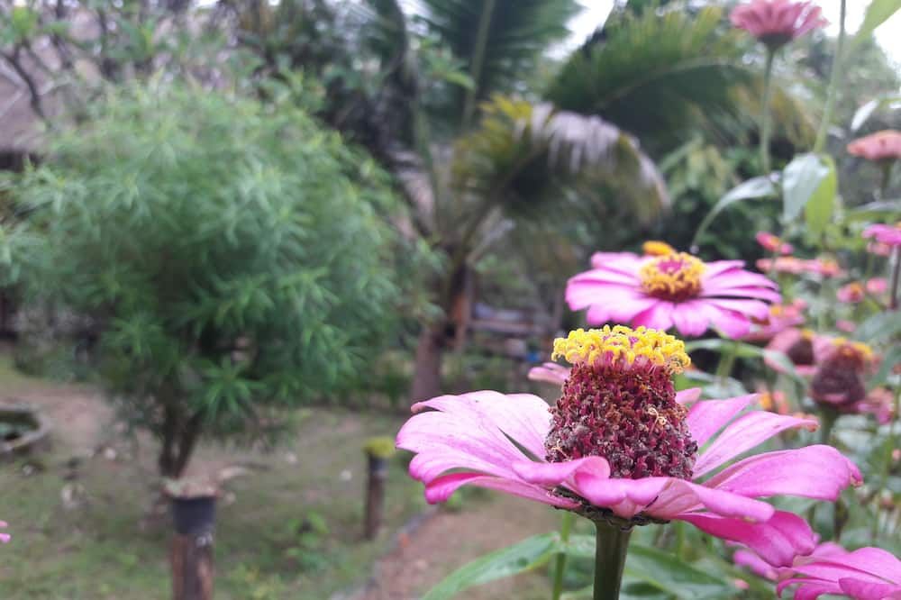 Pemandangan luar