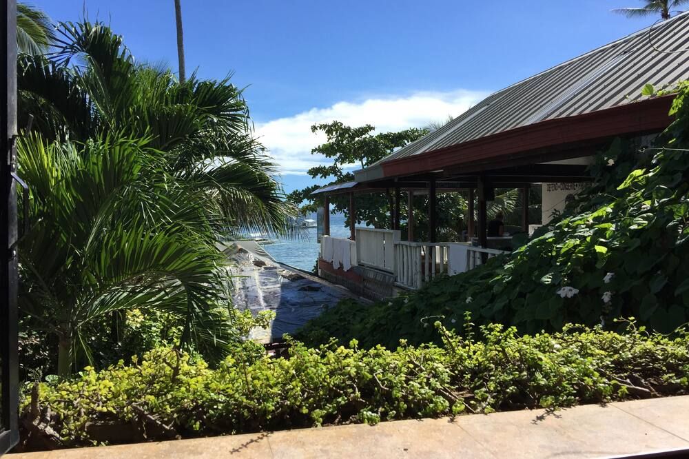 Pemandangan luar