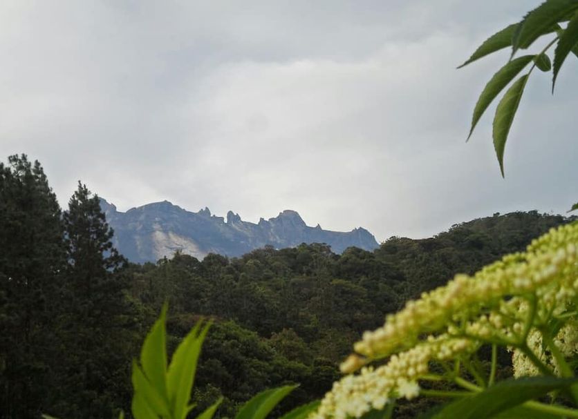 Pemandangan luar Gambar