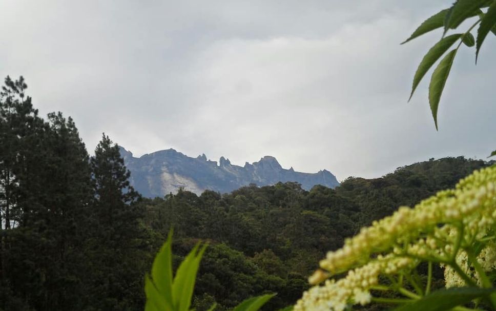 Pemandangan luar Gambar