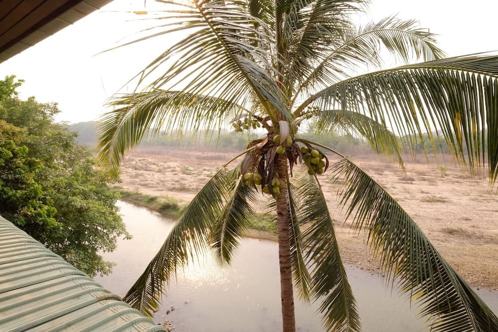 Pemandangan luar