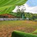 Pemandangan luar