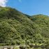 Pemandangan luar