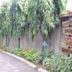 Pemandangan luar