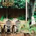 Lain-lain