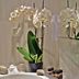 Kemudahan Bilik