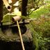 Lain-lain
