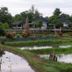 Pemandangan luar