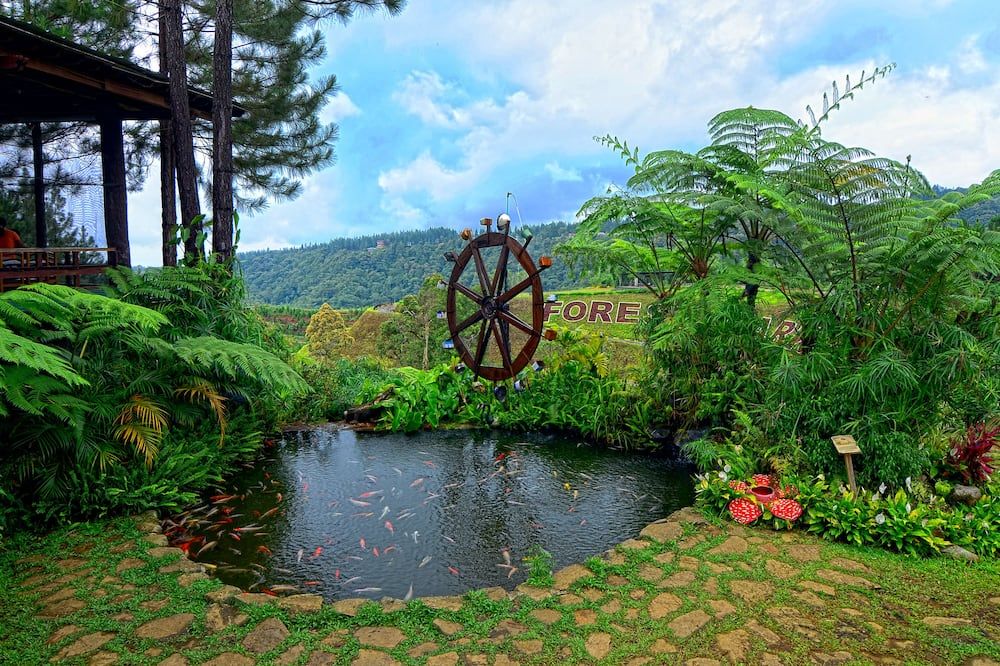 Pemandangan luar