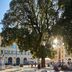Lain-lain
